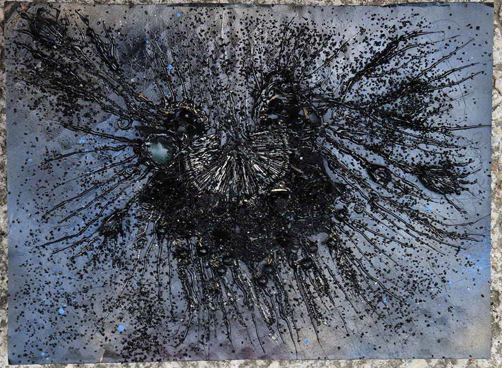 Fossile - 3 par Zandrine C